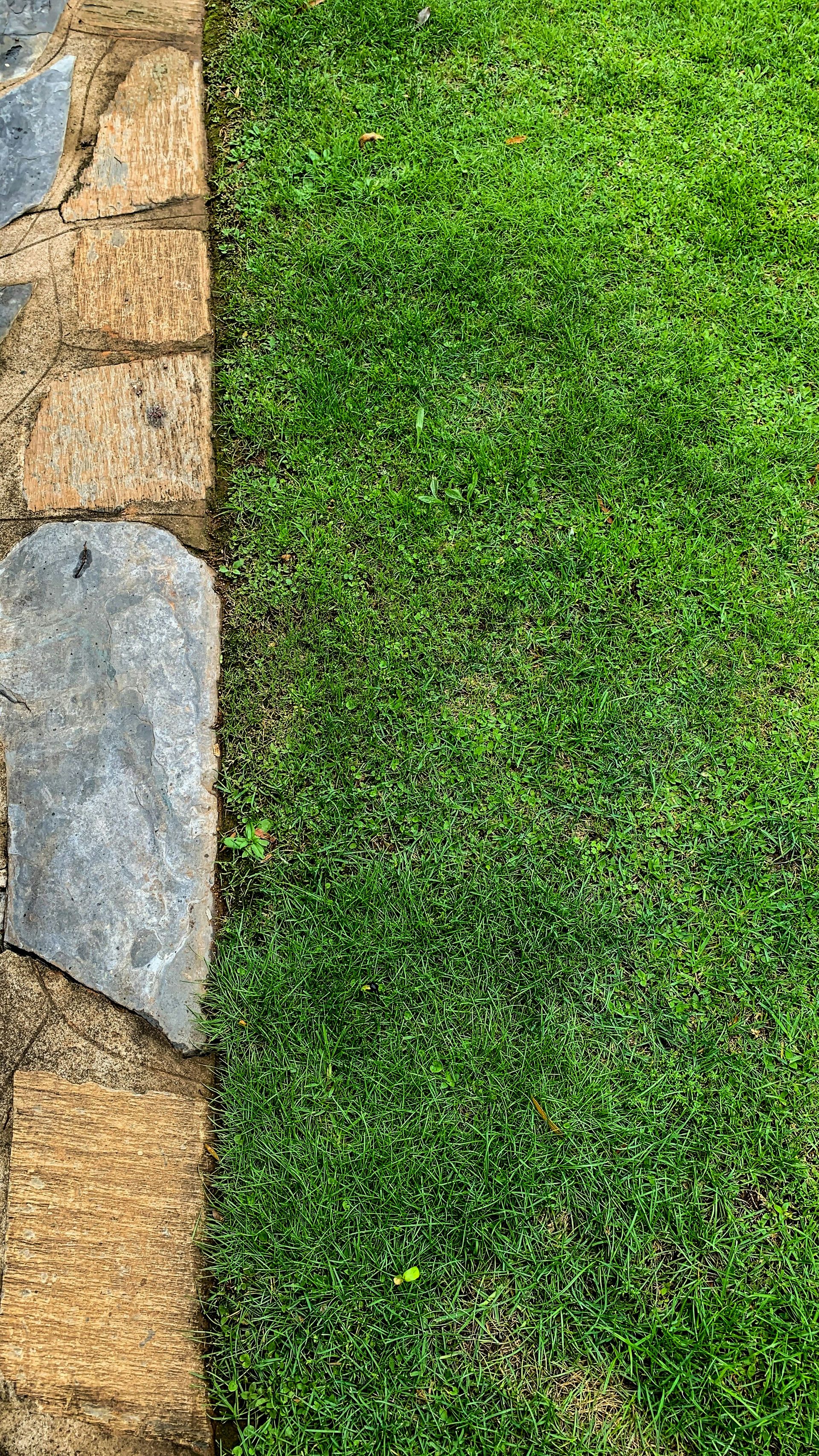 a grassy area with a stone wall