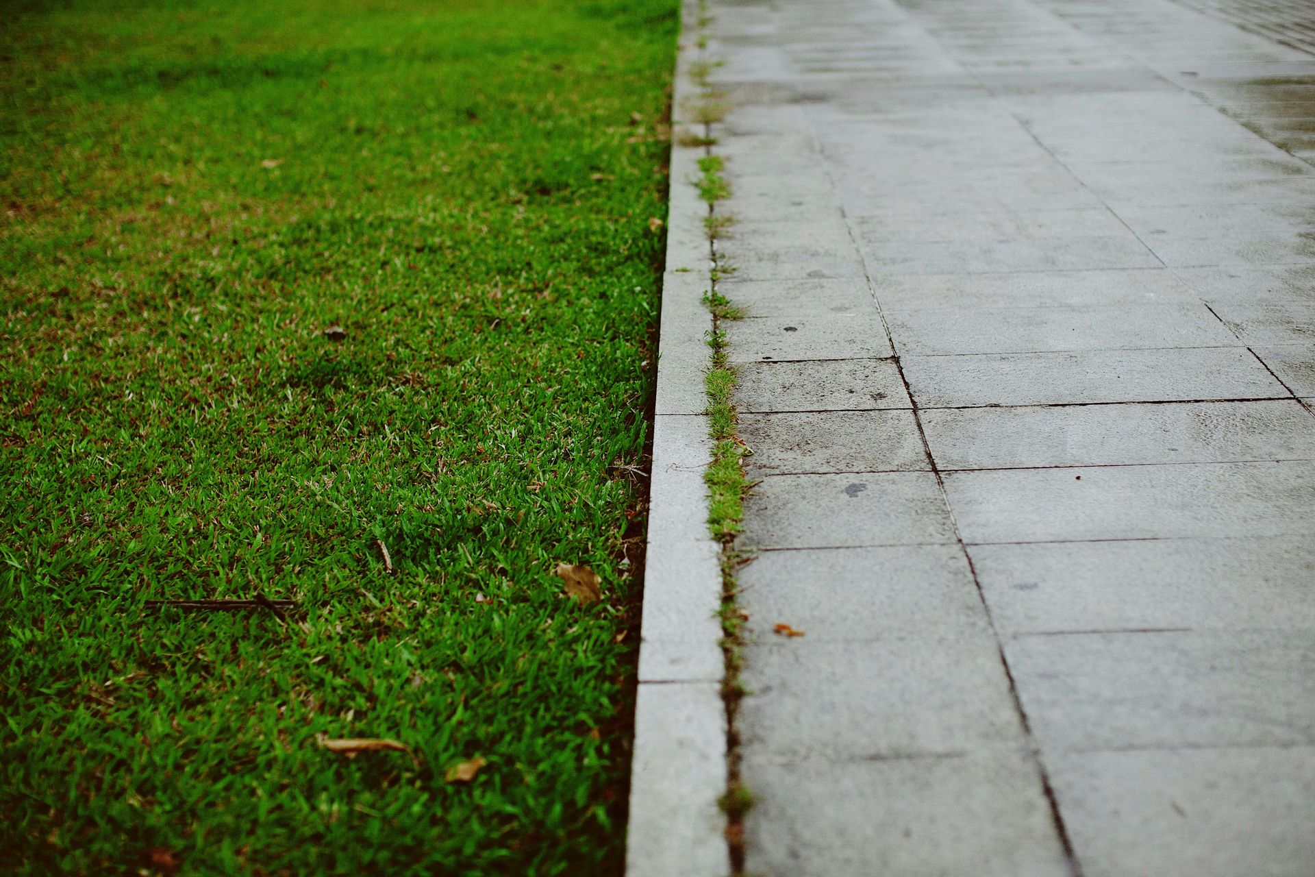 green grass field near gray concrete pathway