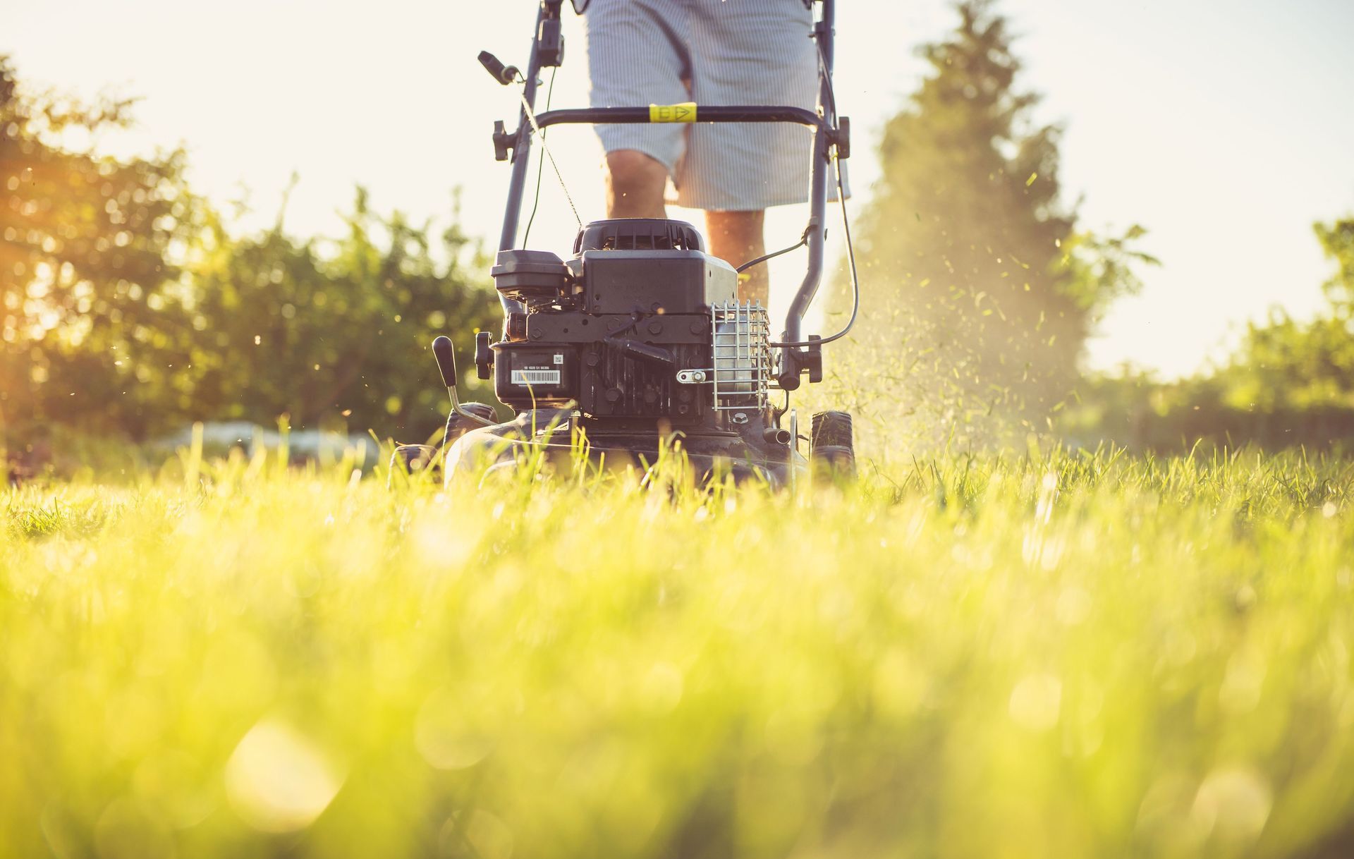 Close-up of a person mowing the lawn with a gas lawn mower on a sunny summer day.